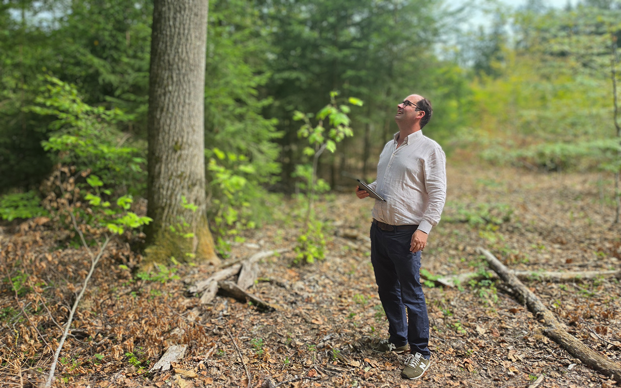 Ludwig Douglas im Wald